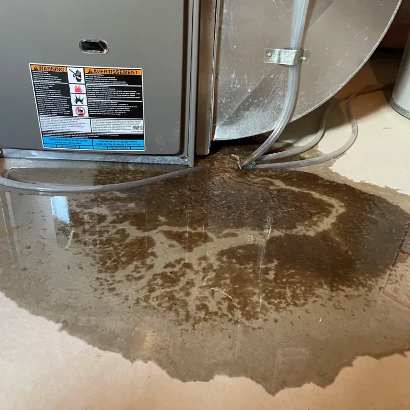 Appliance Leak Cleanup in Perquimans County, NC